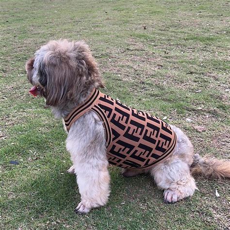 fendi dog clothing